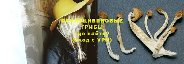 гидропоника Алзамай
