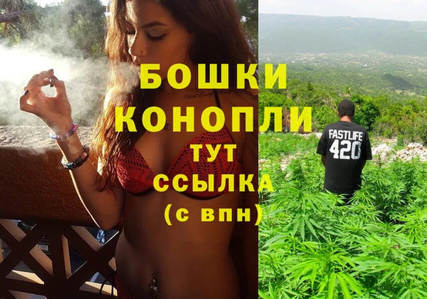 гидропоника Алзамай